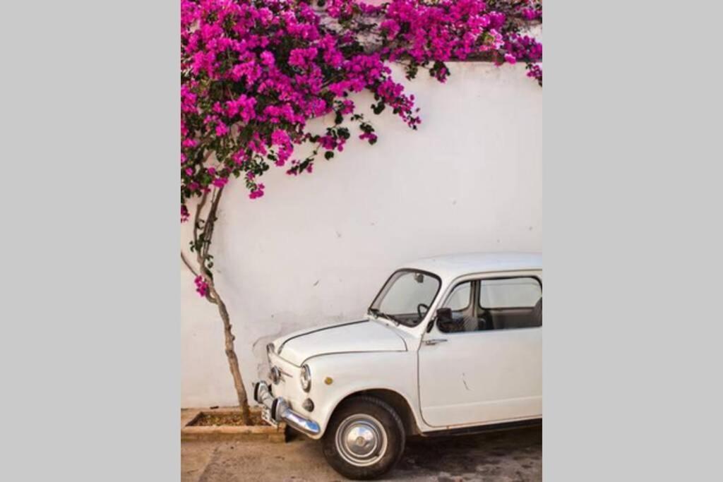 Mojacar Pueblo - Traditional Village House - The Old Jewish Quarter エクステリア 写真